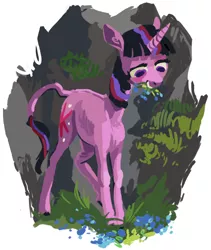 Size: 1218x1444 | Tagged: artist:sterfler, classical unicorn, derpibooru import, flower, flower in mouth, grass, grazing, leonine tail, mouth hold, safe, solo, twilight sparkle