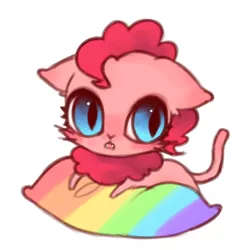 Size: 500x500 | Tagged: safe, derpibooru import, pinkie pie, cat, ask-kittiepie-kor, solo, species swap