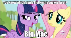 Size: 643x350 | Tagged: suggestive, artist:halfirepony, derpibooru import, big macintosh, fluttershy, twilight sparkle, twilight sparkle (alicorn), alicorn, pony, caption, female, fluttermac, hub logo, implied blowjob, implied oral, implied sex, innuendo, male, mare, meme, roflbot, shipping, straight