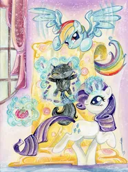 Size: 1280x1718 | Tagged: safe, artist:sararichard, derpibooru import, idw, rainbow dash, rarity, cat, cover