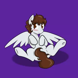 Size: 1000x1000 | Tagged: ask-winged-shine, blushing, covering, derpibooru import, male, oc, purple background, shadow, simple background, solo, solo male, spreading, spread legs, spread wings, suggestive, tail covering, unofficial characters only