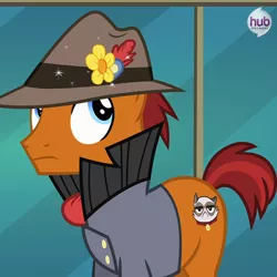Size: 550x549 | Tagged: safe, derpibooru import, official, screencap, sourpuss, cat, earth pony, pony, rarity takes manehattan, clothes, cropped, cutie mark, flower, flower in hat, frown, grumpy cat, hat, hub logo, hubble, jacket, looking up, male, reference, scarf, solo, sparkles, stallion, the hub, wide eyes