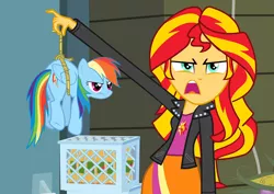 Size: 1016x720 | Tagged: safe, derpibooru import, rainbow dash, sunset shimmer, equestria girls, exploitable meme, meme, micro, sunset is disgusted