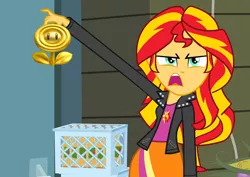 Size: 1016x720 | Tagged: safe, derpibooru import, edit, sunset shimmer, equestria girls, exploitable meme, gold flower, meme, new super mario bros. 2, solo, sunset is disgusted, super mario bros.