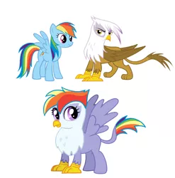 Size: 777x787 | Tagged: safe, artist:kog, derpibooru import, gilda, rainbow dash, oc, classical hippogriff, gryphon, hippogriff, cute, female, gildash, interspecies offspring, lesbian, magical lesbian spawn, offspring, parent:gilda, parent:rainbow dash, parents:gildash, shipping