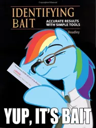 Size: 755x1000 | Tagged: 4chan, book, derpibooru import, glasses, identifying wood, /mlp/, parody, parody of a parody, rainbow dash, reaction image, safe, solo, this is bait, vulgar
