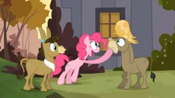 Size: 1054x592 | Tagged: safe, derpibooru import, screencap, cranky doodle donkey, matilda, pinkie pie, donkey, earth pony, pony, a friend in deed, crankilda, female, male, mare, straight