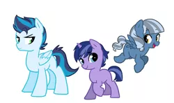 Size: 4200x2500 | Tagged: artist:kianamai, blank flank, colt, derpibooru import, filly, kilalaverse, male, next generation, oc, oc:cloudy skies, oc:icy storm, oc:night light jr, offspring, parent:flash sentry, parent:pinkie pie, parent:pokey pierce, parent:rainbow dash, parents:flashlight, parent:soarin', parents:pokeypie, parents:soarindash, parent:twilight sparkle, safe, simple background, unofficial characters only, white background