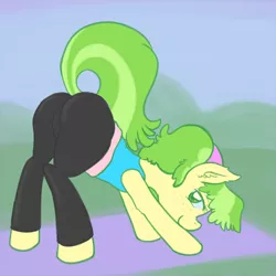 Size: 700x700 | Tagged: artist:ponybutts, chickadee, clothes, derpibooru import, face down ass up, female, ms. peachbottom, plot, presenting, solo, solo female, suggestive, yoga pants