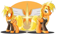 Size: 3026x1742 | Tagged: safe, artist:ruhisu, derpibooru import, oc, oc:brave wing, unofficial characters only, pegasus, pony, bravewing, clothes, dashinglight, female, jacket, male, mare, pilot, rule 63, stallion