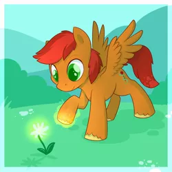 Size: 1280x1280 | Tagged: safe, artist:cuddlehooves, derpibooru import, oc, oc:sundried tomato, unofficial characters only, pegasus, pony, colt, flower, magic, male, solo