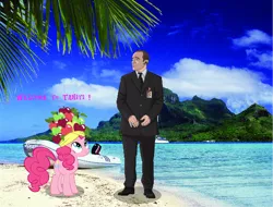 Size: 574x436 | Tagged: agents of shield, artist needed, crossover, derpibooru import, fruit hat, hat, phil coulson, pinkie pie, safe, s.h.i.e.l.d, source needed, tahiti