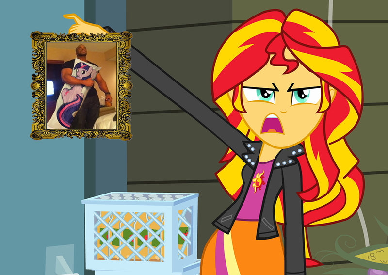 Size: 1016x720 | Tagged: safe, derpibooru import, sunset shimmer, twilight sparkle, equestria girls, body pillow, exploitable meme, meme, sunset is disgusted