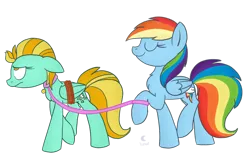 Size: 1024x683 | Tagged: artist:lunar-pop, bound wings, collar, cutie mark collar, derpibooru import, duo, leash, lightning dust, pet, pet play, pet tag, rainbow dash, safe