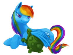 Size: 1280x964 | Tagged: artist:bloominglove, derpibooru import, rainbow dash, safe, tank