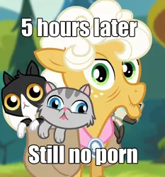 Size: 666x714 | Tagged: suggestive, derpibooru import, goldie delicious, cat, earth pony, pony, pinkie apple pie, caption, female, image macro, mare, meta, saddle bag, solo, solo female