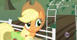 Size: 1153x609 | Tagged: safe, derpibooru import, screencap, applejack, pinkie apple pie, hub logo, meme, solo, youtube caption