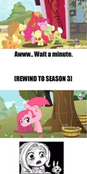 Size: 632x1264 | Tagged: safe, artist:shepherd0821, derpibooru import, angel bunny, apple bloom, applejack, big macintosh, fluttershy, granny smith, pinkie pie, earth pony, human, pony, pinkie apple pie, hilarious in hindsight, male, shocked, stallion