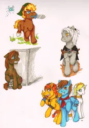 Size: 600x865 | Tagged: aika, amnesia the dark descent, artist:silverracoon, crossover, daniel, derpibooru import, fina, geralt of rivia, link, navi, ponified, safe, skies of arcadia, the legend of zelda, the witcher, vyse