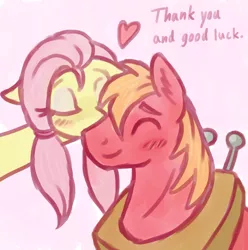 Size: 990x1000 | Tagged: safe, artist:marindashy, derpibooru import, big macintosh, fluttershy, earth pony, pony, alternate hairstyle, fluttermac, fluttershy answers, kiss on the cheek, kissing, male, shipping, stallion, straight, thank you, tumblr