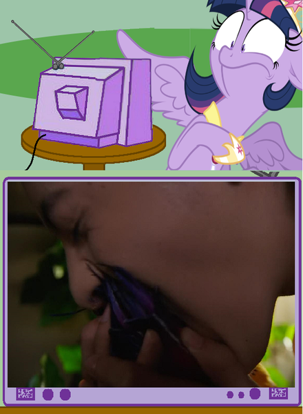 Size: 562x766 | Tagged: safe, derpibooru import, twilight sparkle, twilight sparkle (alicorn), alicorn, pony, exploitable meme, female, hase ryoji, kamen rider, kamen rider gaim, mare, meme, obligatory pony, tv meme