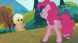 Size: 853x478 | Tagged: safe, derpibooru import, screencap, goldie delicious, pinkie pie, pony, pinkie apple pie, female, mare, plot