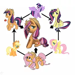 Size: 1500x1500 | Tagged: safe, artist:atryl, derpibooru import, applejack, fluttershy, twilight sparkle, twilight sparkle (alicorn), alicorn, pony, appletwishy, cute, female, fusion, fusion diagram, mare, twijackshy