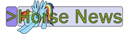 Size: 1100x300 | Tagged: 4chan, banner, derpibooru import, greentext, horse news, iwtcird, meme, /mlp/, rainbow dash, safe, solo, text