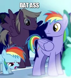 Size: 355x387 | Tagged: safe, derpibooru import, edit, edited screencap, screencap, rainbow blaze, rainbow dash, silver script, pegasus, pony, games ponies play, background pony, caption, cropped, dat butt, female, filly, filly rainbow dash, gay, male, meme, out of context, spread wings, stallion, stare, wingboner, wings, younger