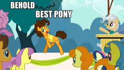 Size: 960x540 | Tagged: behold, best pony, bon bon, caramel, carrot top, cheese sandwich, derpibooru import, edit, edited screencap, golden harvest, lemon hearts, mayor mare, meme, parasol, pinkie pride, safe, screencap, sweetie drops, the last roundup, truth