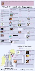 Size: 1500x3000 | Tagged: 4chan, derpibooru import, derpy hooves, greatest internet moments, imageboard, irony, /mlp/, princess celestia, rainbow falls, slur, suggestive, text, the grey one's glorious return, vulgar