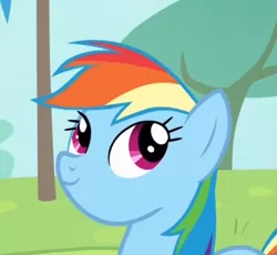 Size: 500x460 | Tagged: derpibooru import, expression, rainbow dash, rainbow falls, safe, screencap, solo