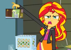 Size: 1016x720 | Tagged: safe, derpibooru import, derpy hooves, sunset shimmer, equestria girls, rainbow falls, drama, exploitable meme, meme, sunset is disgusted