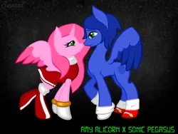 Size: 1024x768 | Tagged: safe, artist:despair-ado, artist:rosesx, derpibooru import, ponified, alicorn, pony, alicornified, amy rose, female, male, race swap, shipping, sonic the hedgehog, sonic the hedgehog (series), straight