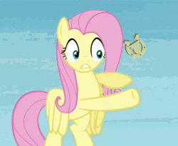 Size: 396x324 | Tagged: safe, derpibooru import, fluttershy, rainbow falls, animated, solo