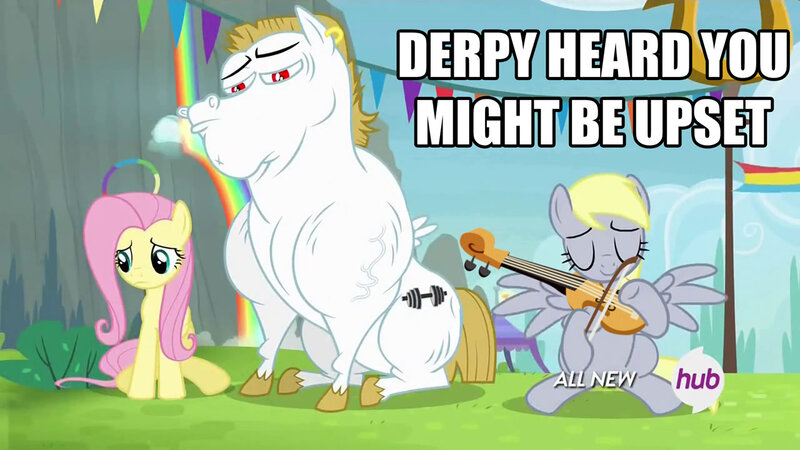 Size: 1280x720 | Tagged: safe, artist:dtkraus, derpibooru import, edit, screencap, bulk biceps, derpy hooves, fluttershy, pegasus, pony, rainbow falls, all new, caption, female, hub logo, hubble, image macro, mare, musical instrument, reaction image, text, the grey one's glorious return, the hub, violin, welcome back derpy, you seem upset