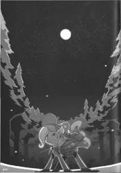 Size: 1040x1486 | Tagged: safe, artist:rikose, derpibooru import, trixie, pony, unicorn, clothes, female, forest, grayscale, mare, monochrome, moon, night, solo