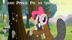 Size: 1054x592 | Tagged: a friend in deed, apple, beaver, bucktooth, caption, clothes, costume, derpibooru import, hill, leave it to beaver, pinkie pie, safe, solo, tree, tree stump