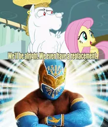 Size: 640x756 | Tagged: bulk biceps, derpibooru import, exploitable meme, fluttershy, meme, replacement meme, safe, sin cara, wwe