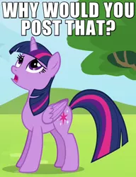 Size: 500x650 | Tagged: safe, derpibooru import, twilight sparkle, twilight sparkle (alicorn), alicorn, pony, rainbow falls, caption, d:, disgusted, female, frown, image macro, looking up, mare, meme, open mouth, reaction image, solo, standing, upset, why would you post that