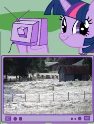 Size: 1120x1476 | Tagged: safe, derpibooru import, twilight sparkle, pony, unicorn, australia, exploitable meme, farm, meme, nope, obligatory pony, pure unfiltered evil, smiling, spider web, tv meme, twiface, wrong neighborhood