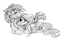 Size: 960x640 | Tagged: safe, artist:ilikepudding24, derpibooru import, big macintosh, fluttershy, earth pony, pony, fluttermac, male, monochrome, shipping, sketch, stallion, straight