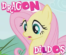 Size: 865x720 | Tagged: bad dragon, caption, derpibooru import, dragon dildo, dragonshy, edit, edited screencap, expand dong, exploitable meme, fluttershy, meme, screencap, solo, suggestive