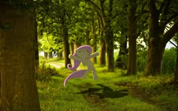 Size: 1920x1200 | Tagged: artist:bengo538, artist:destructodash, derpibooru import, edit, fluttershy, forest, grass, happy, irl, pathway, photo, ponies in real life, safe, shadow, tree, vector