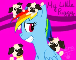 Size: 1280x1024 | Tagged: artist:thesuperpuppy, derpibooru import, dog, my little x, pug, puppy, rainbow dash, safe