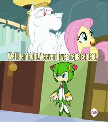 Size: 640x717 | Tagged: safe, derpibooru import, edit, edited screencap, screencap, bulk biceps, fluttershy, rainbow falls, cosmo the seedrian, crossover, exploitable meme, meme, replacement meme, sonic the hedgehog (series), sonic x