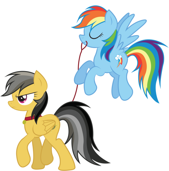 Size: 5972x6045 | Tagged: safe, artist:zoevulpez, derpibooru import, daring do, rainbow dash, pegasus, pony, absurd resolution, annoyed, backwards cutie mark, collar, daringdash, eyes closed, female, flying, leash, lesbian, mare, missing accessory, mouth hold, nudity, pet play, pet tag, shipping, simple background, transparent background