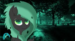 Size: 753x414 | Tagged: artist:princessamity, changeling, derpibooru import, graveyard, looking at you, oc, piercing, safe, solo, unamused, unofficial characters only