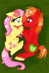 Size: 640x960 | Tagged: safe, artist:ilikepudding24, derpibooru import, big macintosh, fluttershy, earth pony, pony, couple, fluttermac, holding hooves, love, male, shipping, stallion, straight