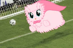 Size: 800x521 | Tagged: derpibooru import, football, oc, oc:fluffle puff, safe, solo, super fluff, unofficial characters only